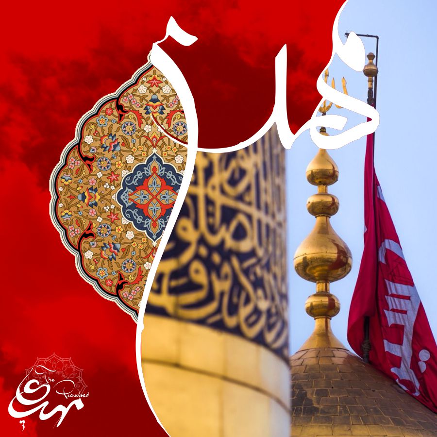 Minhaj Welfare Norway